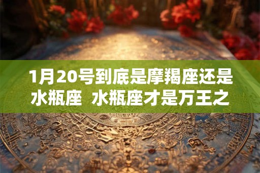 1月20号到底是摩羯座还是水瓶座  水瓶座才是万王之王