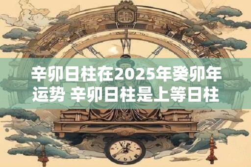 辛卯日柱在2025年癸卯年运势 辛卯日柱是上等日柱吗