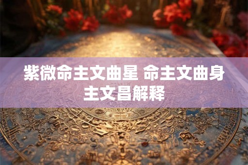 紫微命主文曲星 命主文曲身主文昌解释