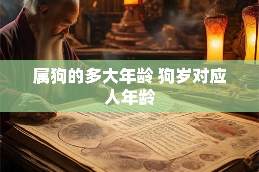 属狗的多大年龄 狗岁对应人年龄