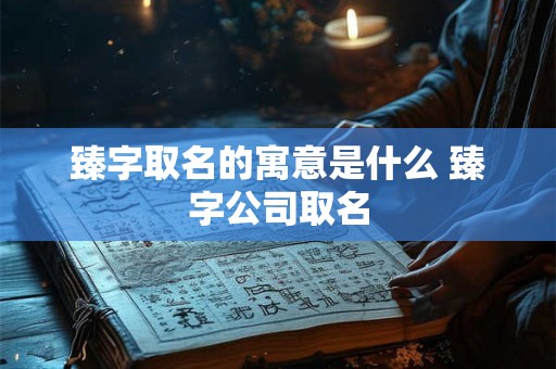 臻字取名的寓意是什么 臻字公司取名