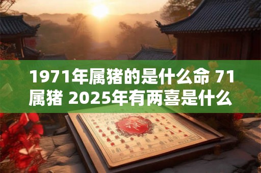 1971年属猪的是什么命 71属猪 2025年有两喜是什么