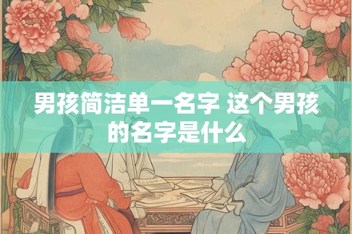 男孩简洁单一名字 这个男孩的名字是什么