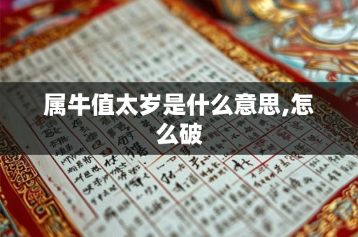 属牛值太岁是什么意思,怎么破