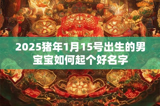 2025猪年1月15号出生的男宝宝如何起个好名字