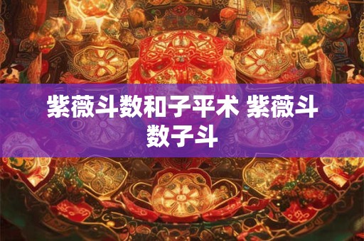 紫薇斗数和子平术 紫薇斗数子斗