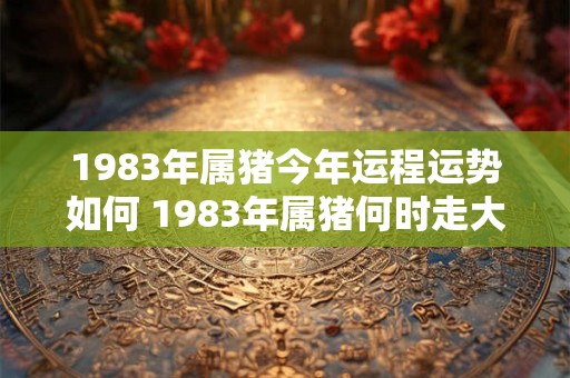 1983年属猪今年运程运势如何 1983年属猪何时走大运