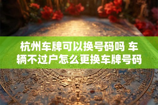 杭州车牌可以换号码吗 车辆不过户怎么更换车牌号码