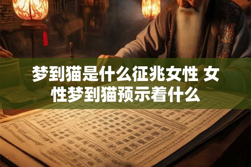 梦到猫是什么征兆女性 女性梦到猫预示着什么