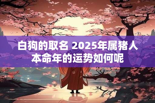白狗的取名 2025年属猪人本命年的运势如何呢