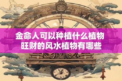 金命人可以种植什么植物 旺财的风水植物有哪些
