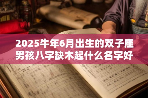 2025牛年6月出生的双子座男孩八字缺木起什么名字好