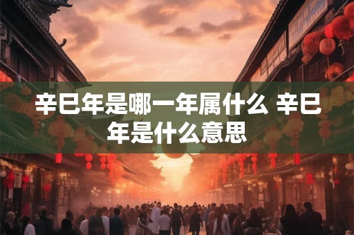 辛巳年是哪一年属什么 辛巳年是什么意思