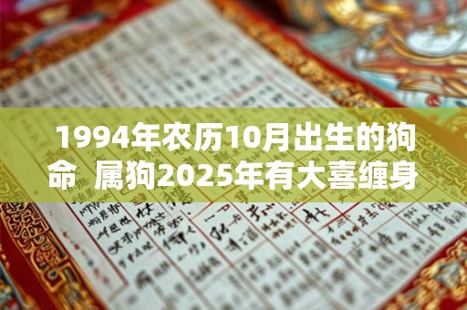 1994年农历10月出生的狗命  属狗2025年有大喜缠身