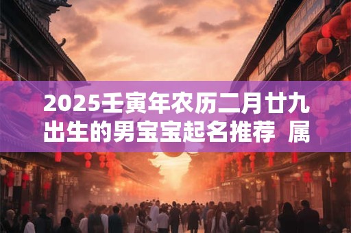 2025壬寅年农历二月廿九出生的男宝宝起名推荐  属虎取名