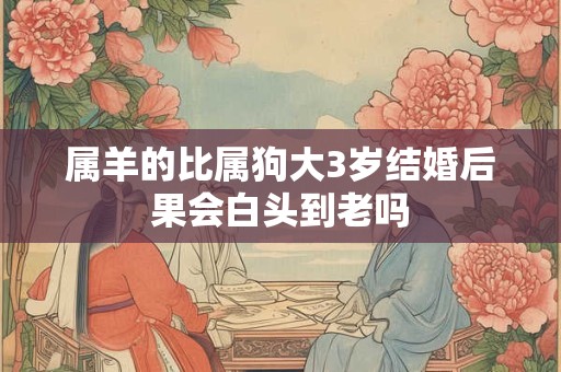 属羊的比属狗大3岁结婚后果会白头到老吗