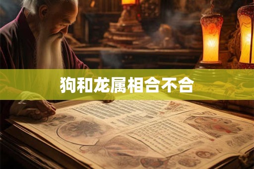 狗和龙属相合不合