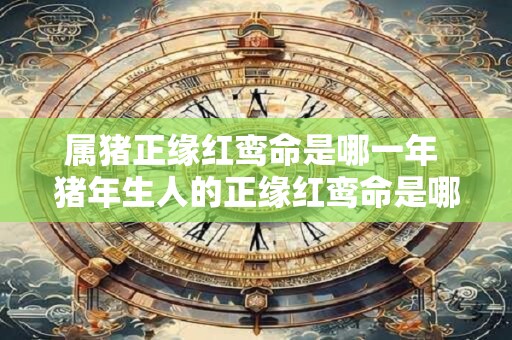 属猪正缘红鸾命是哪一年 猪年生人的正缘红鸾命是哪一年