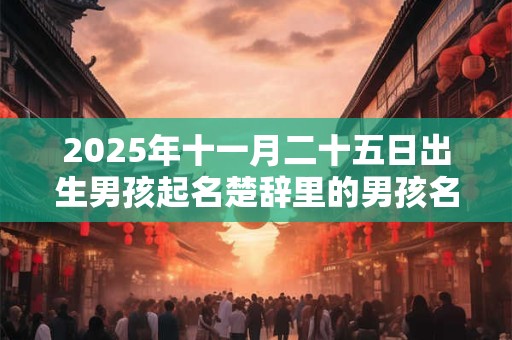 2025年十一月二十五日出生男孩起名楚辞里的男孩名字