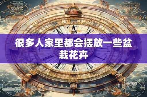 很多人家里都会摆放一些盆栽花卉