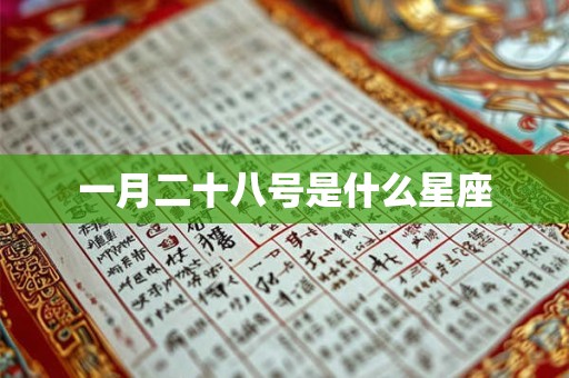 一月二十八号是什么星座
