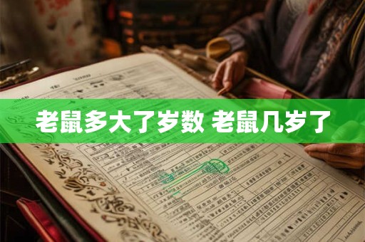 老鼠多大了岁数 老鼠几岁了