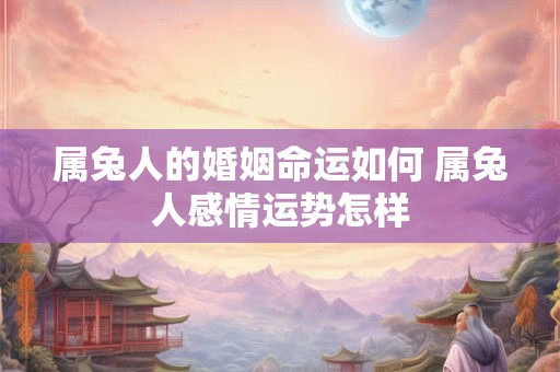 属兔人的婚姻命运如何 属兔人感情运势怎样