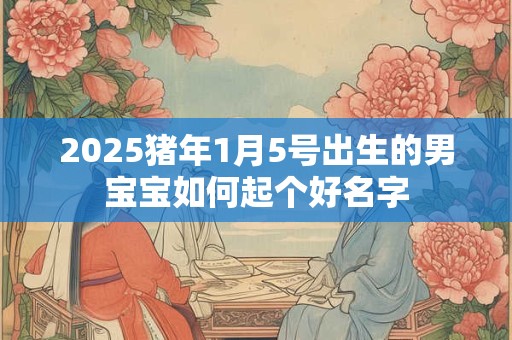 2025猪年1月5号出生的男宝宝如何起个好名字 2025猪年1月5号出生的男宝宝如何起个好名字