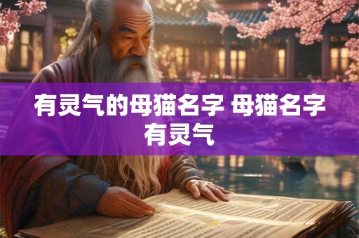 有灵气的母猫名字 母猫名字有灵气