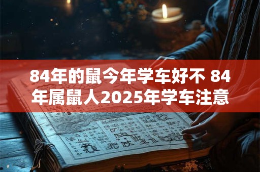 84年的鼠今年学车好不 84年属鼠人2025年学车注意事项