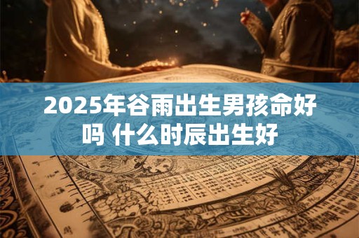 2026年谷雨出生男孩命好吗 什么时辰出生好 2026年谷雨出生男孩命好吗 什么时辰出生好