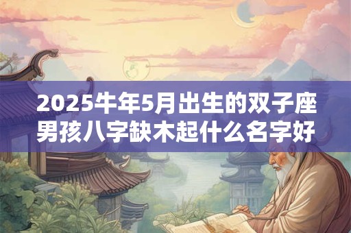 2025牛年5月出生的双子座男孩八字缺木起什么名字好