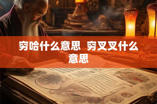 穷哈什么意思  穷叉叉什么意思