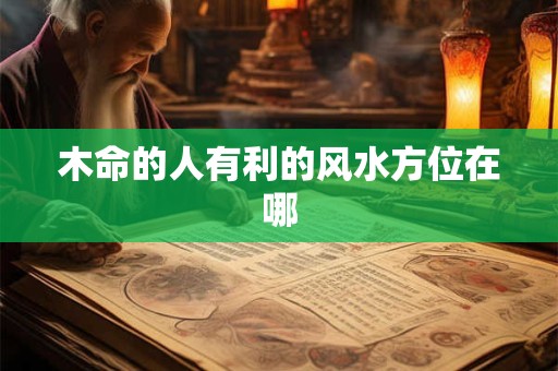 木命的人有利的风水方位在哪