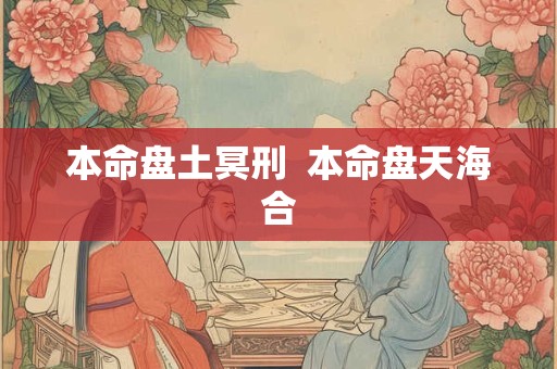 本命盘土冥刑  本命盘天海合
