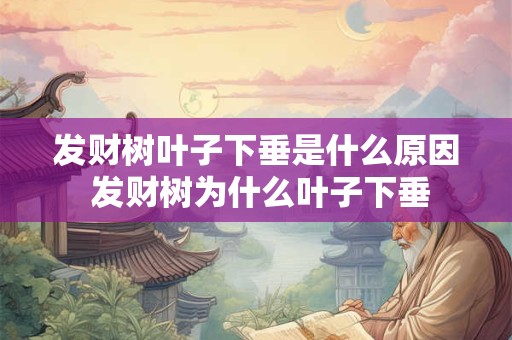 发财树叶子下垂是什么原因 发财树为什么叶子下垂