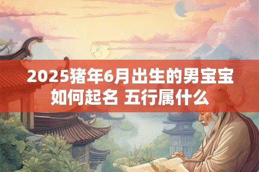 2025猪年6月出生的男宝宝如何起名 五行属什么