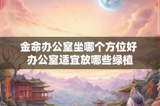 金命办公室坐哪个方位好 办公室适宜放哪些绿植