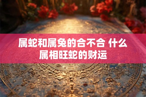 属蛇和属兔的合不合 什么属相旺蛇的财运