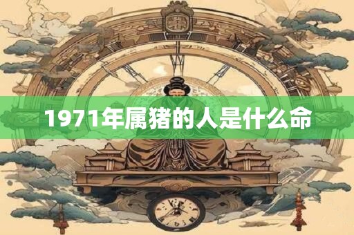 1971年属猪的人是什么命