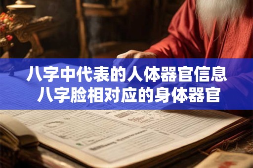 八字中代表的人体器官信息 八字脸相对应的身体器官