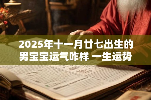 2025年十一月廿七出生的男宝宝运气咋样 一生运势分析