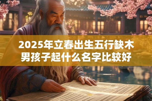 2025年立春出生五行缺木男孩子起什么名字比较好