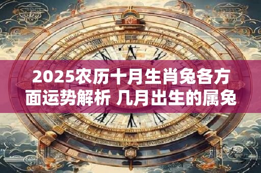 2025农历十月生肖兔各方面运势解析 几月出生的属兔人命好