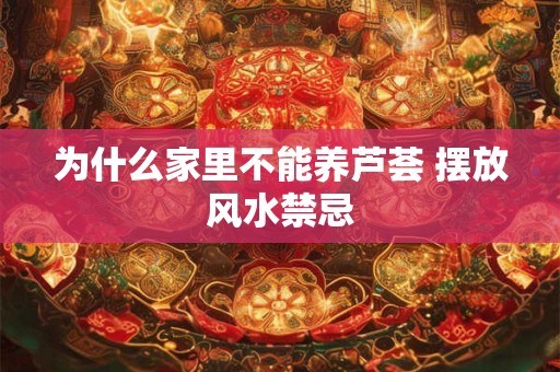 为什么家里不能养芦荟 摆放风水禁忌