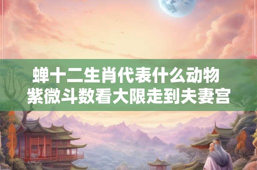 蝉十二生肖代表什么动物 紫微斗数看大限走到夫妻宫