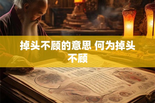 掉头不顾的意思 何为掉头不顾