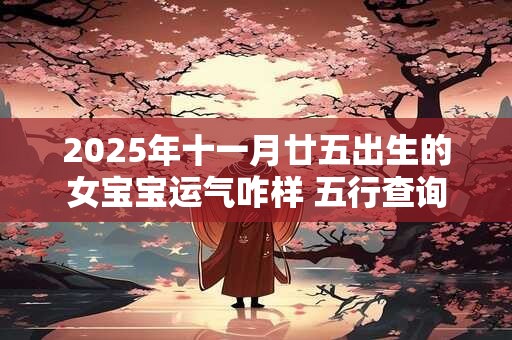 2025年十一月廿五出生的女宝宝运气咋样 五行查询