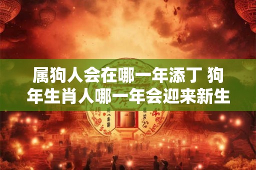 属狗人会在哪一年添丁 狗年生肖人哪一年会迎来新生命