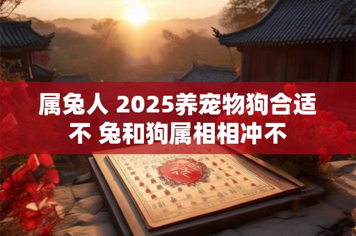 属兔人 2025养宠物狗合适不 兔和狗属相相冲不